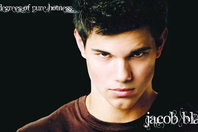 Jacob And Bella Wallpaper4 By TeamWerepire On DeviantArt