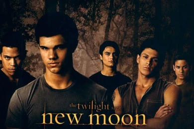 Jacob Black 바탕화면   제이콥 블랙 바탕화면 (27258686)   팬팝