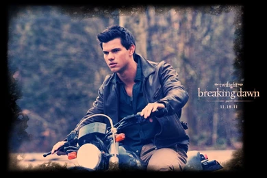 Movies Twilight Film Trailer Taylor Lautner Jacob Black