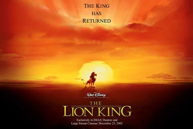 Lion King Pictures   Wallpapers HD Wide