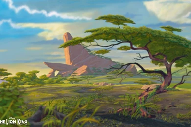 The Lion King Wallpapers Full HD