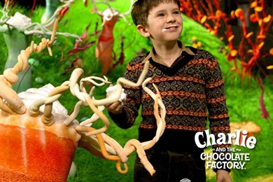 Charlie&the Chocolate Factory   Tim Burton Wallpapers (169398)   Fanpop