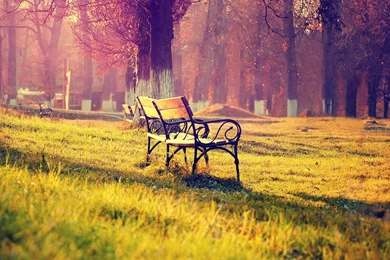 Random HD Wallpapers Nice Cool Pics.com (6104) Pics