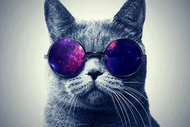 Background, Cool, Espanol, Fondo, Fondos, Love, Nice, Wallpapers ...