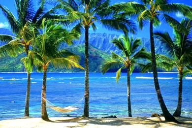The Excitement To Set The Hawaiian Desktop Wallpaper: Beach By ...
