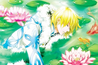Fay D Flourite  Tsubasa: Reservoir Chronicle Wallpapers   Anime ...