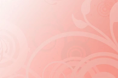 Food And Drink   Page 55