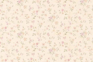 413 66304 Peach Floral Trail   Cindy   Brewster Wallpapers