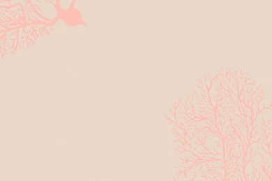 Designer Wallpapers \\ Cavern