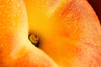 1920x1200 Peach Fruit Desktop PC And Mac Wallpapers