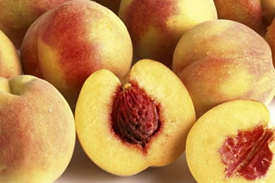 Peach Computer Wallpapers, Desktop Backgrounds