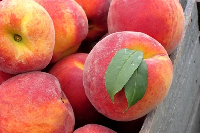 Peach Fruit   Wallpaper.