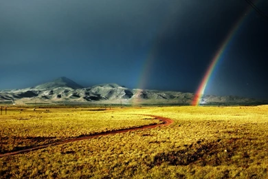 Posts From Wallpaper, Wallpapers