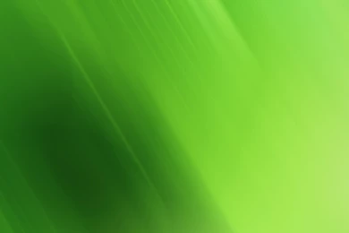 Free Download 44 HD Green Wallpapers For Windows And Mac Systems