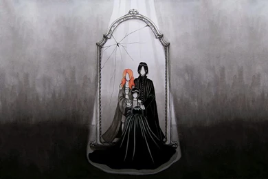 Snape and the mirror of erised harry potter 27181 1920x1080.jpg