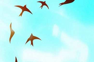 Cute Birds Flying Phone Wallpapers