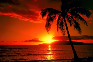 Sunset Tropical Island Wallpapers
