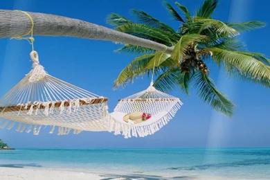 Tropical Island Animated Wallpapers   DesktopAnimated.com