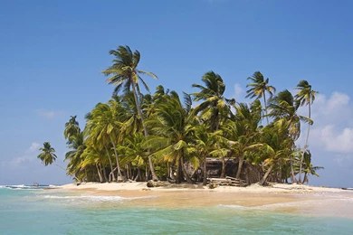 Tropical Palm Island Wallpapers