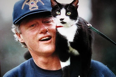 The Charmed Life: Famous Tuxedo Cats In History