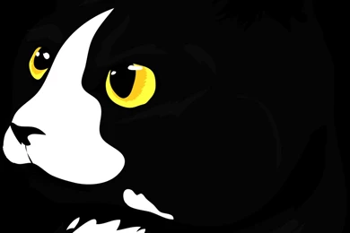 Tuxedo Cat By ReavrIndustries On DeviantArt