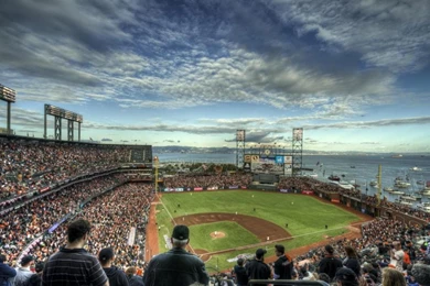 San Francisco Giants At T Baseball Park   (