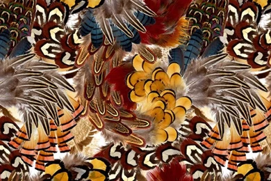 On Exhibit: Marian Bantjes's Dazzling Graphic Design   Azure Magazine