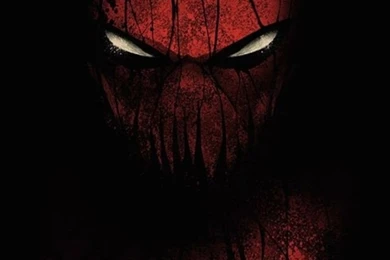 Pics, Facts, Funny Stuff About Animals & Nature Spiderman Iphone ...