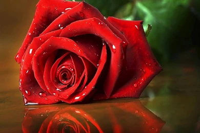 1440x1280 Mobile Phone Wallpapers Download 11 1440x1280 ...