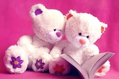 Cute Teddy Bear Pictures HD Images Free Download Desktop ...