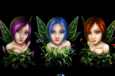 Three Little Fairies Wallpaper Backgrounds