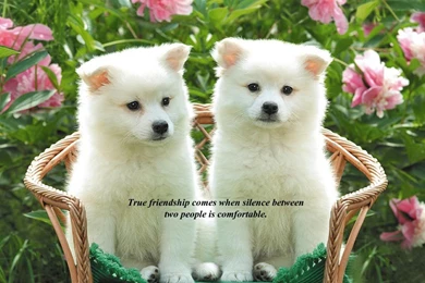 Silence between two people.jpg