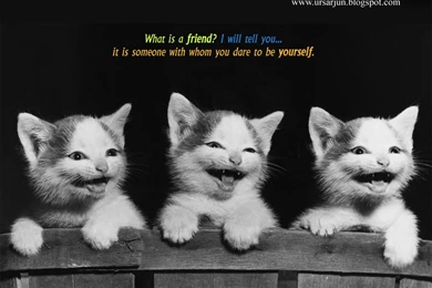 Cute Friends HD Wallpapers