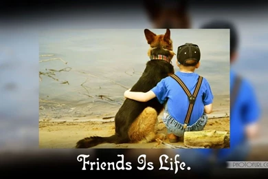 Friendship Photos Free Download – Good Night Pictures Images