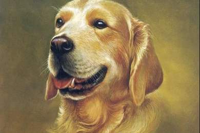 Free Wallpapers Drawing Painting Animals Wallpapers