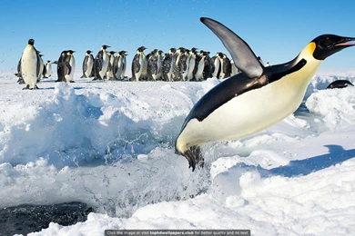 Best Feet 4K Or HD Wallpapers For Your PC, Mac Or Mobile Device