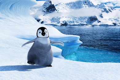 Baby Mumble In Happy Feet 2 Wallpapers