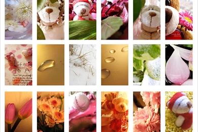 Cell phone Wallpapers   Crazy Frankenstein