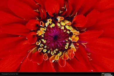 9383_1024x768 wallpaper cb1267712973.jpg