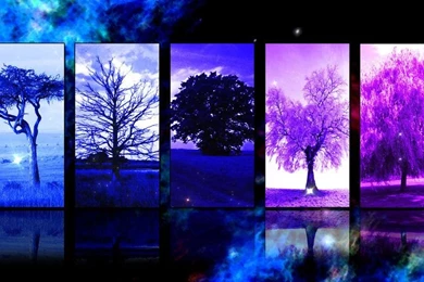 Free Desktop Wallpapers Download HD Wallpapers 3D Wallpapers ...