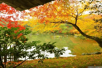 Beautiful Autumn Wallpapers 3 Seasonal Crazy Frankenstein