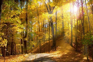 Seasonal Desktop Wallpapers   Wallpapers Cave