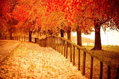 Beautiful Autumn Wallpapers 2   Seasonal   Crazy Frankenstein