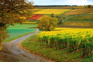 Seasonal Pictures For Desktop Wallpapers