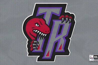 Toronto Raptors 2015 HD Wallpapers