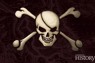 Enjoy articles jolly roger desktop extension online english jollyrogerdt magazine mediastorage 119533.jpg