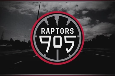 The Mississauga Power Joins The Toronto Raptors!   YouTube