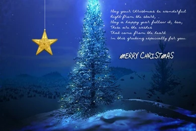 Christmas Tree   Christmas Tree   Wallpapers   Christmas Wallpapers ...