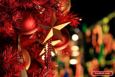 YouWall   Christmas Tree Wallpapers   Wallpaper,wallpapers,free ...