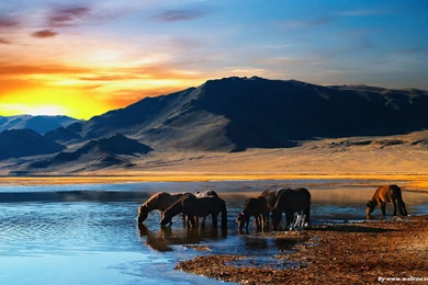 Beautiful, Nature, Wallpapers (